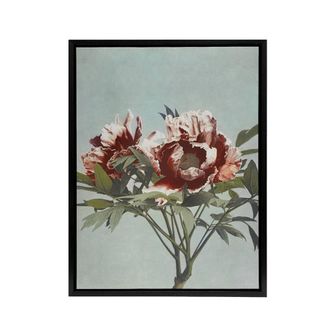 Artery8 Tree Peonies Pink Flower Blooms Framed Canvas Wall Art Print Kazumasa in Blue | Size: W24 x H32