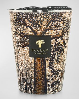 Baobab Sacred Trees Morondo 5-Wick Max24 Candle, 176.3 oz