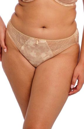 Elomi Morgan Full Figure Briefs in Toasted Almond at Nordstrom, Size 3X-Large