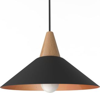 Lumicom Funnell L&aacute;mpara De Techo 25 Negro Hoja