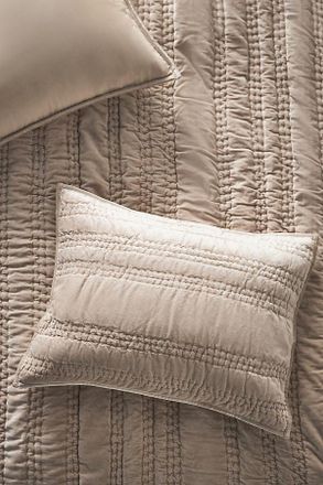 Anthropologie Lustered Velvet Alastair Shams, Set of 2