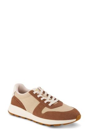 Toms TRVL Lite Retro Sneaker in Medium Brown at Nordstrom, Size 5.5