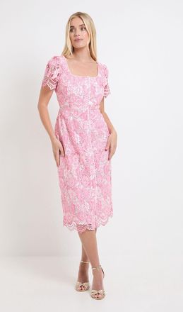 Wallis Womens Petite Contrast Lace Button Midi Dress - Pink - Size 10 UK