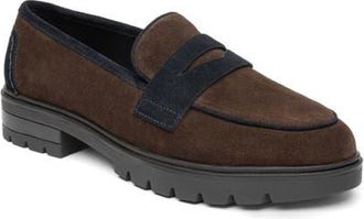 Ara Caladium Loafer in Brown at Nordstrom, Size 10.5