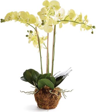 Napa Home & Garden Phalaenopsis Orchid Artificial Plant Drop-In in Yellow at Nordstrom