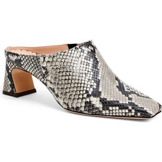 Bruno Magli Fran Mule in Black/white Snake at Nordstrom Rack, Size 6