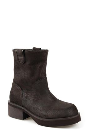 Candie's Ciarra Western Bootie in Brown at Nordstrom, Size 10