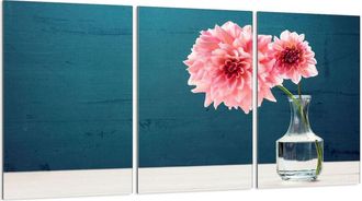 OEM Placa Protectora De Vidrio Para Estufa 3x30x52