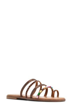 Aldo Lindya Toe Ring Slide Sandal in Brown Multi at Nordstrom, Size 8.5