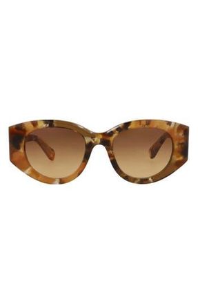 Chlo&eacute; 51mm Oval Sunglasses in Havana Havana Brown at Nordstrom Rack