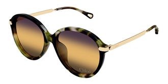 Chlo&eacute; CH0358SK Asian Fit 003 Womens Sunglasses Tortoiseshell Size 59
