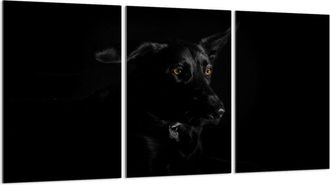 OEM Placa Protectora De Vidrio Para Estufa 3x30x52