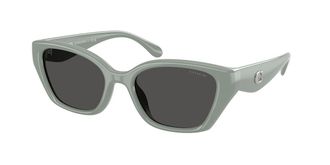 Coach HC8434U CBY91 592487 Womens Sunglasses Grey Size 53