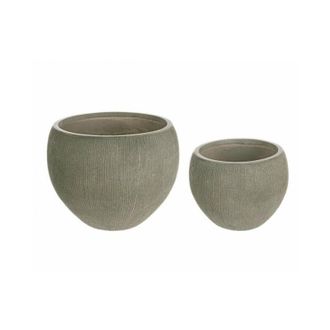 BIZZOTTO Bizzotto - Set2 Florero Esfera Salvia Cepillo