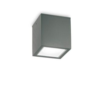 Netlighting Techo Outdoor Large Surface Mounted Downlight Anthracite IP54 GU10 in Black