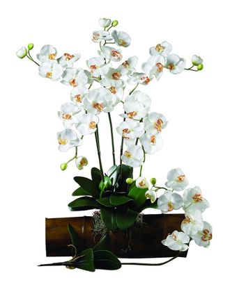 Nearly Natural Set Of 6 Phalaenopsis Stem