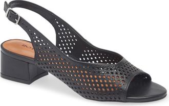 Bottero Botelsa Perforated Open Toe Slingback Pump in Preto at Nordstrom, Size 10