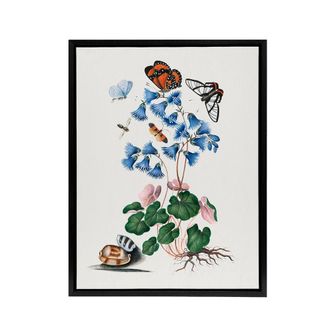 Artery8 Soldanella Flower & Butterflies Bolton Black Framed Canvas Wall Art in White | Size: W24 x H32