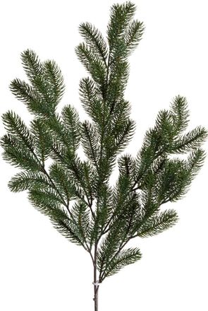 Botanic-Haus Kunstzweig