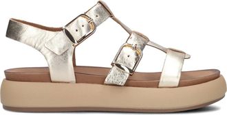 Inuovo Inuovo, Schoenen, Dames, Geel, 41 EU, Stijlvolle Sandalen voor Zonnige Dagen