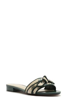 Alexandre Birman x Agua by Agua Bendita Grosgrain Raffia Slide Sandal in Laguna Off/Green at Nordstrom, Size 10.5