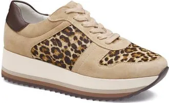 Johnston & Murphy Gracie Colorblock Sneaker in Sand Suede/leopard Calf Hair at Nordstrom, Size 9.5