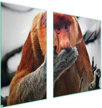 OEM Placa Protectora De Vidrio Para Estufa 90x52 Nosacz