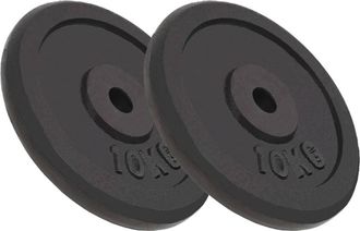 vidaXL Discos De Pesas De Hierro Fundido 2 Uds 2x10 Kg Vidaxl