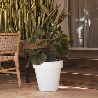 OEM Magnolia 45 Macetero Redondo Cl&aacute;sico De Interior Y Exterior Para Plantas Y Flores Muy Resistente Al Paso Del Tiempo. Hecho De Polietileno En Espa&ntilde;a - 