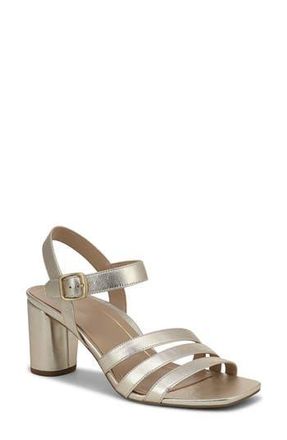 Vionic Nora Ankle Strap Sandal in Gold at Nordstrom Rack, Size 7.5