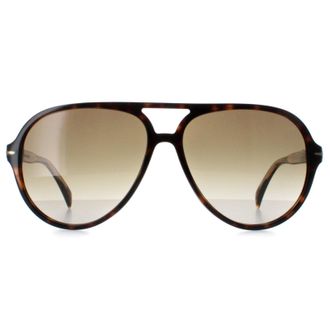 David Beckham DB1091/S 086 HA havana bruin gradiënt zonnebril