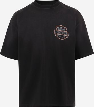 Amiri Amiri