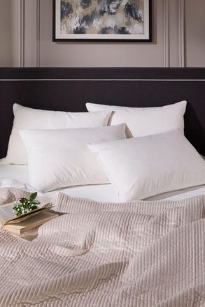 Snuggledown 4 Pack Hotel Goose Feather & Down Back Sleeper Pillow in White