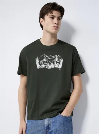 Levi's Mens Mountainous logo T-shirt