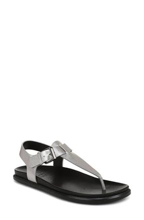 Naturalizer Fab Sandal in Soft Pewter at Nordstrom, Size 10