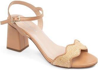 Patricia Green Palm Beach Sandal in Natural Raffia at Nordstrom, Size 10