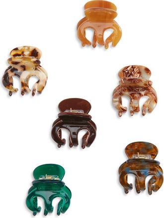 Tasha 6-Pack Mini Jaw Hair Clips in Neutral Multi at Nordstrom