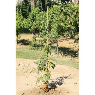 Alce Paquete De 9 Unidades De Estacas Cuadradas De Soporte Con Punta, Dimensiones 2,5x2,5x210 Cm, Color Casta&ntilde;o Alce