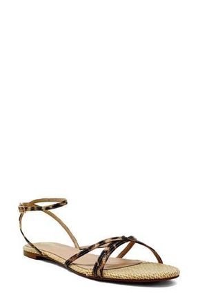 Shushop Betty Ankle Strap Sandal in Leopard Print at Nordstrom Rack, Size 7.5