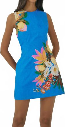 Hutch Womens Janesta Dress In Blue/multi
