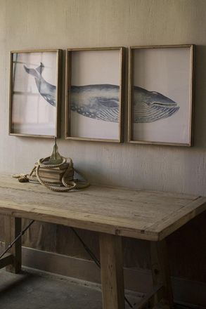 Kalalou Triptych Framed Whale Print Under Glass