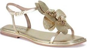 Diba Per Shing Sandal in Gold at Nordstrom Rack, Size 7.5