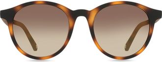 Ted Baker TB1503 Odell 173 Mens Sunglasses Tortoiseshell Size 50