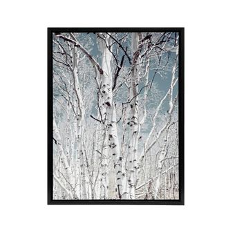Artery8 Birch tree forest Carol M Highsmith Framed Canvas Wall Art Print | Size: W24 x H32