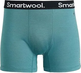 Smartwool Active Boxer Brief Boxed Mens Underwear Dusty Teal : SM, Polyester/Wool
