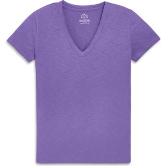 primary Adult Classic Slub V-Neck Tee in Violet at Nordstrom, Size Xx-Large