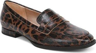 Life Stride Frankie Penny Loafer in Brown Multi at Nordstrom, Size 9.5