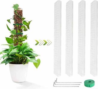 OEM Juego De 4 Postes De Soporte De Espuma Con Cierre De Velcro, Estacas Semicil&iacute;ndricas De Pl&aacute;stico Transparente, Para Orqu&iacute;deas
