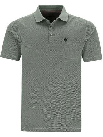 Hajo polo