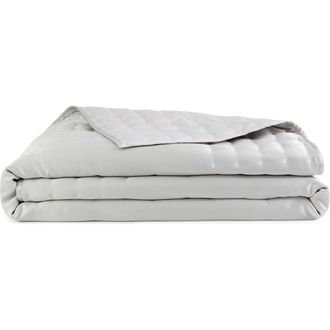 DKNY Hammered Silk & Cotton Blend Quilt in Platinum at Nordstrom, Size Full